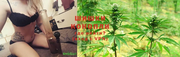 стаф Арсеньев