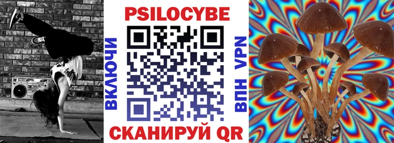 купить наркотики цена  Новомосковск  Псилоцибиновые грибы мухоморы 