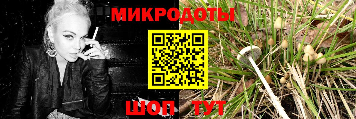 Псилоцибиновые грибы мухоморы Новомосковск