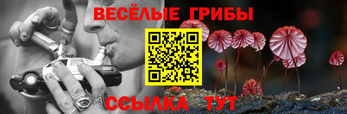 Новомосковск  где найти наркотики  Вход с VPN  Псилоцибиновые грибы мицелий 
